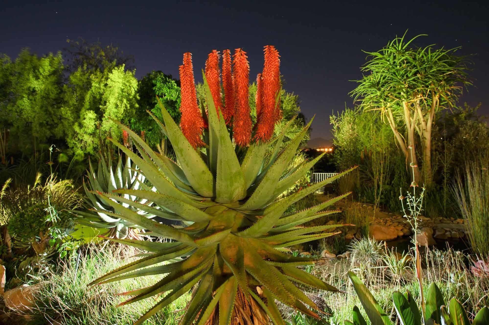 Hotel Aloe Manor Oudtshoorn Zewnętrze zdjęcie
